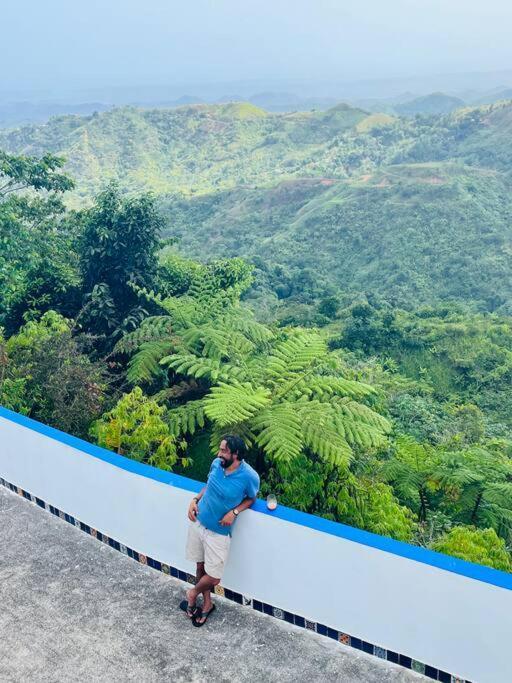 Villa Verde Luz: A Virgin Forest Yauco Kültér fotó