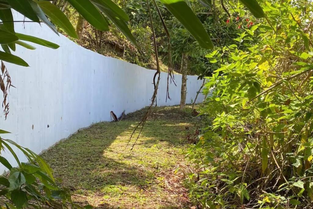 Villa Verde Luz: A Virgin Forest Yauco Kültér fotó