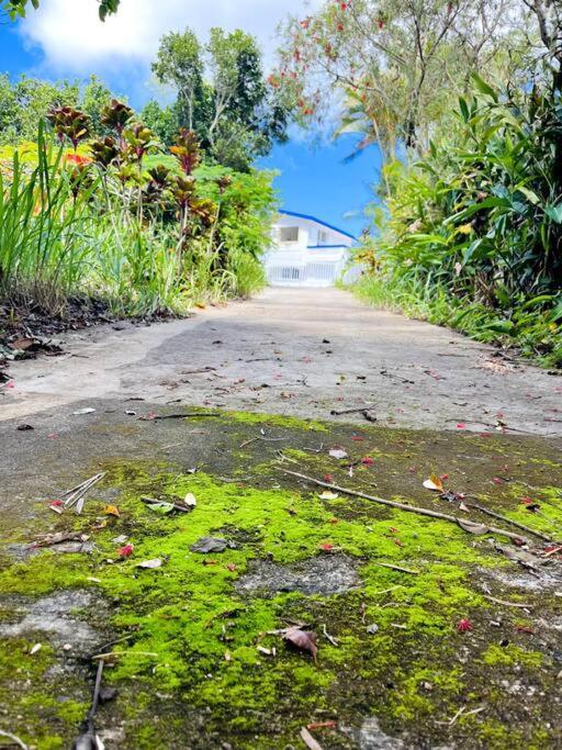 Villa Verde Luz: A Virgin Forest Yauco Kültér fotó