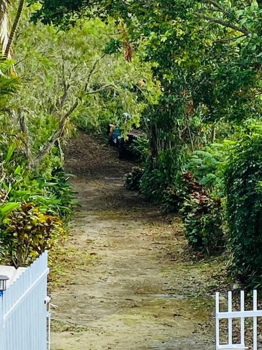 Villa Verde Luz: A Virgin Forest Yauco Kültér fotó