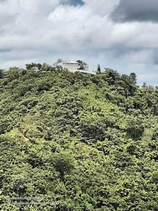 Villa Verde Luz: A Virgin Forest Yauco Kültér fotó