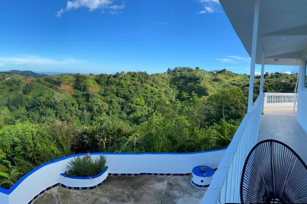 Villa Verde Luz: A Virgin Forest Yauco Kültér fotó