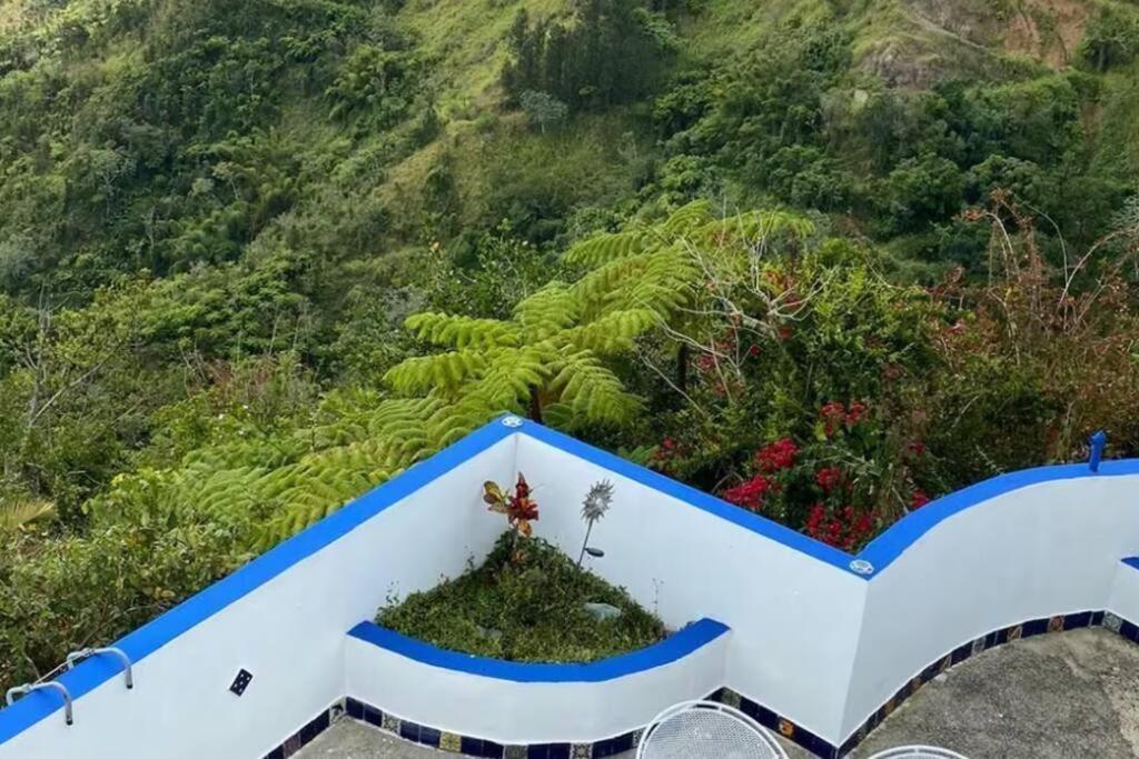 Villa Verde Luz: A Virgin Forest Yauco Kültér fotó