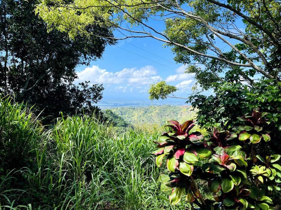 Villa Verde Luz: A Virgin Forest Yauco Kültér fotó