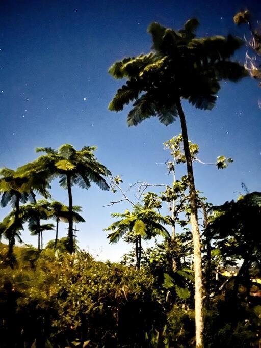 Villa Verde Luz: A Virgin Forest Yauco Kültér fotó