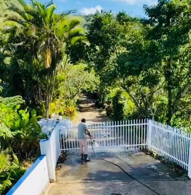 Villa Verde Luz: A Virgin Forest Yauco Kültér fotó