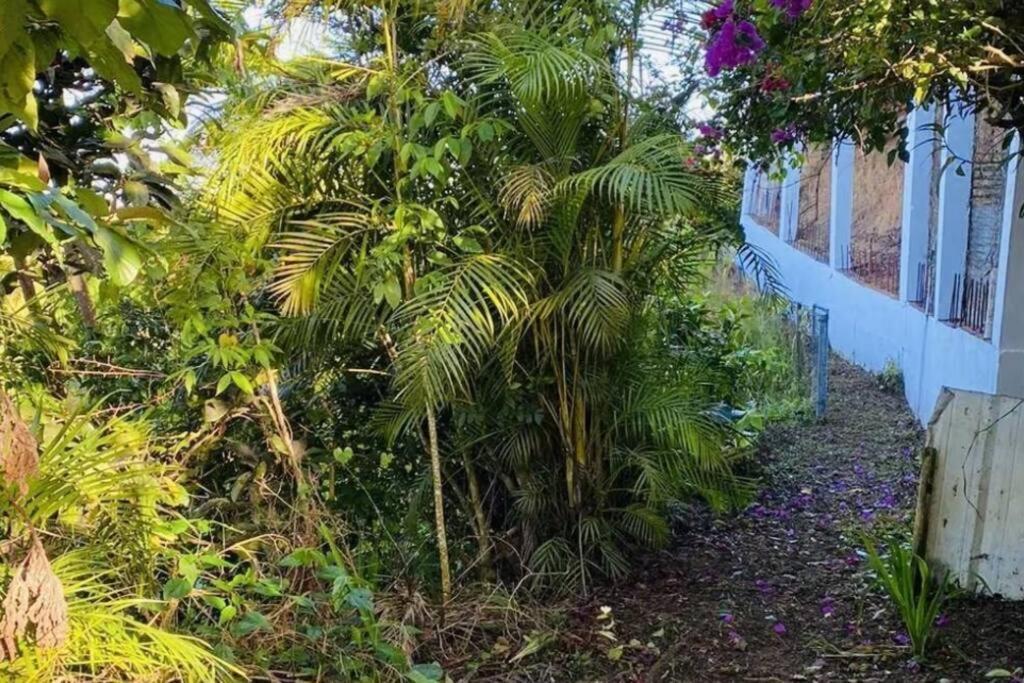 Villa Verde Luz: A Virgin Forest Yauco Kültér fotó