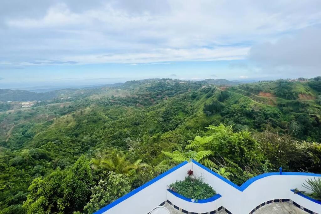 Villa Verde Luz: A Virgin Forest Yauco Kültér fotó